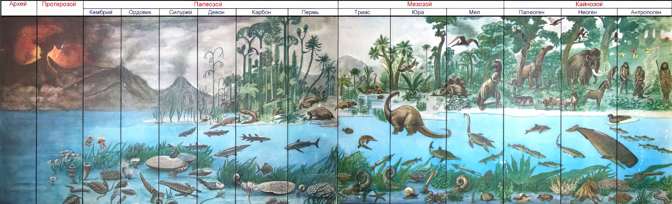 Эволюция жизни на Земле